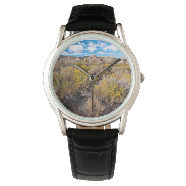 Flowers | Blooming Sagebrush California Watch (Front)