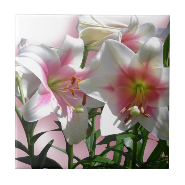 Flowers Blossoms Spring Garden Love Shower Party Tile (Front)