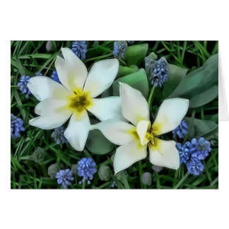Flowers - Blue and White Cards