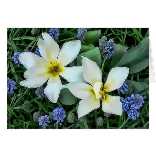 Flowers - Blue and White Cards (Front Horizontal)