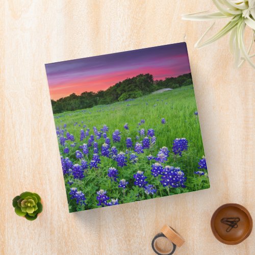 Flowers  Bluebonnets at Sunset Texas 3 Ring Binder