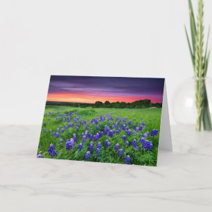 Flowers Bluebonnets at Sunset Texas Card