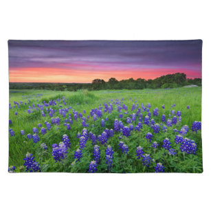 Flowers   Bluebonnets at Sunset Texas Cloth Placemat