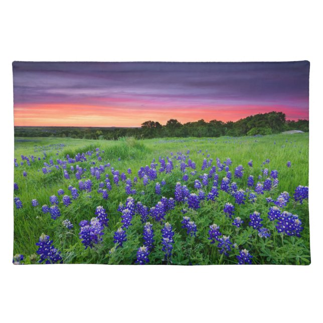 Flowers | Bluebonnets at Sunset Texas Cloth Placemat (Front)