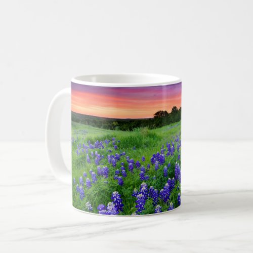 Flowers  Bluebonnets at Sunset Texas Coffee Mug