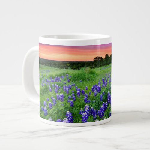 Flowers  Bluebonnets at Sunset Texas Giant Coffee Mug