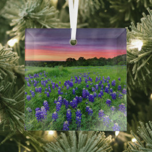 Flowers Bluebonnets at Sunset Texas Glass Ornament