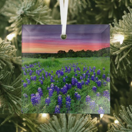 Flowers  Bluebonnets at Sunset Texas Glass Ornament