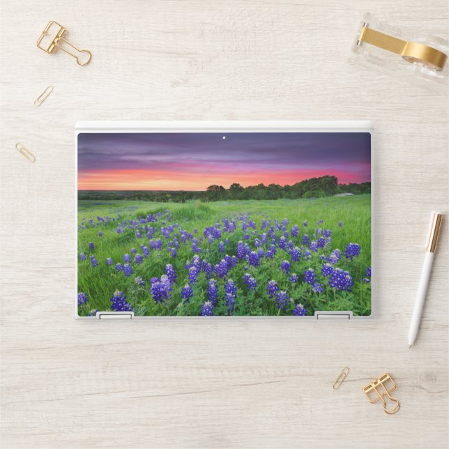 Flowers | Bluebonnets at Sunset Texas HP Laptop Skin (Desk)