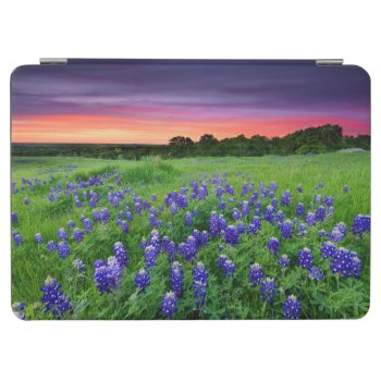 Flowers | Bluebonnets At Sunset Texas Ipad Air Cover by intothewild at Zazzle