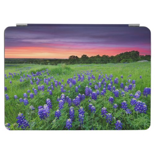 Flowers  Bluebonnets at Sunset Texas iPad Air Cover