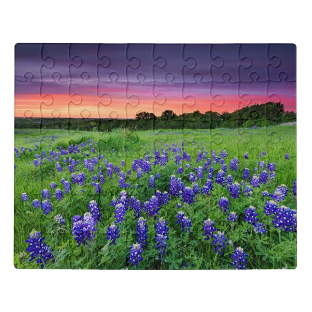 Flowers | Bluebonnets at Sunset Texas Jigsaw Puzzle (Puzzle Horizontal)