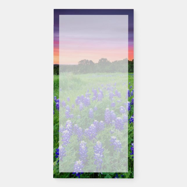 Flowers | Bluebonnets at Sunset Texas Magnetic Notepad (Front)