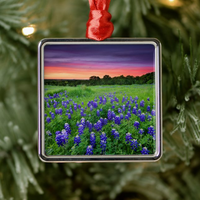 Flowers | Bluebonnets at Sunset Texas Metal Ornament (Tree)