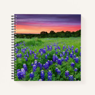 Flowers Bluebonnets at Sunset Texas Notebook