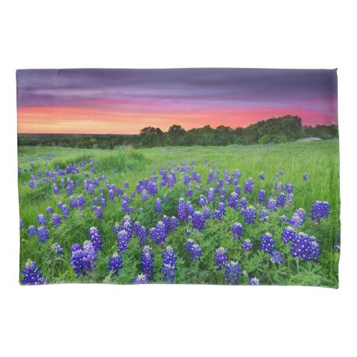 Flowers  Bluebonnets at Sunset Texas Pillow Case