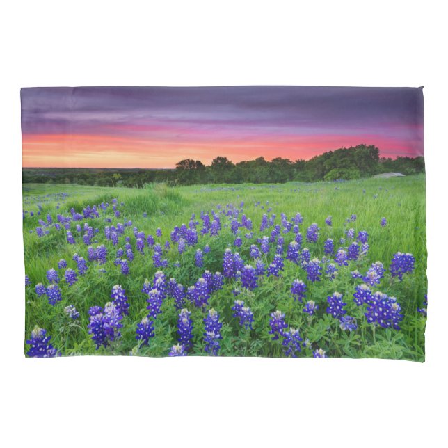 Flowers | Bluebonnets at Sunset Texas Pillow Case (Front)
