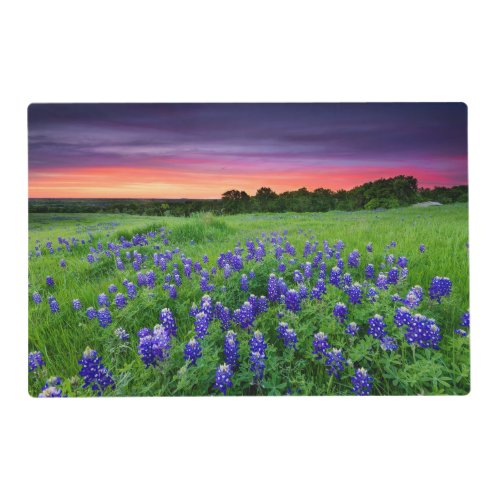 Flowers  Bluebonnets at Sunset Texas Placemat