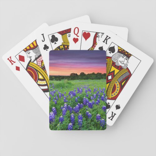 Flowers  Bluebonnets at Sunset Texas Poker Cards