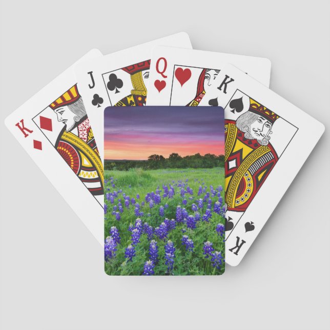 Flowers | Bluebonnets at Sunset Texas Poker Cards (Back)