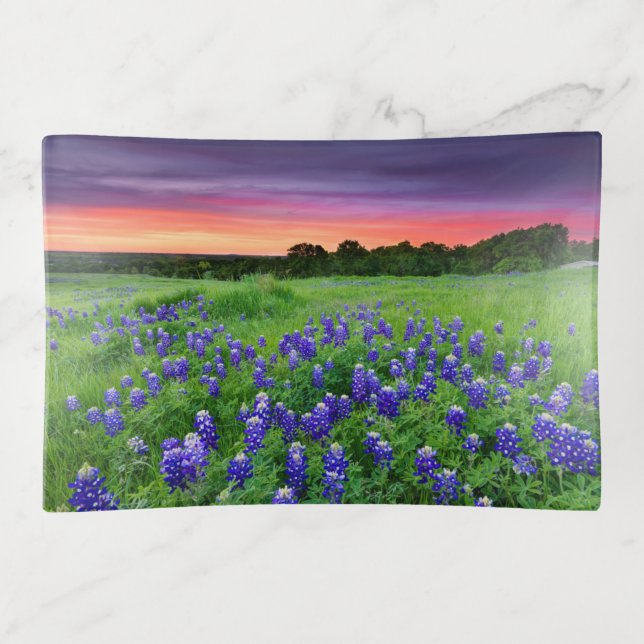 Flowers | Bluebonnets at Sunset Texas Trinket Tray (Front)