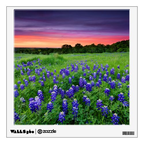 Flowers  Bluebonnets at Sunset Texas Wall Decal