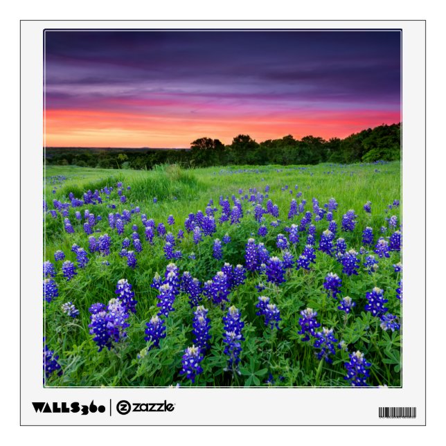 Flowers | Bluebonnets at Sunset Texas Wall Decal (Front)