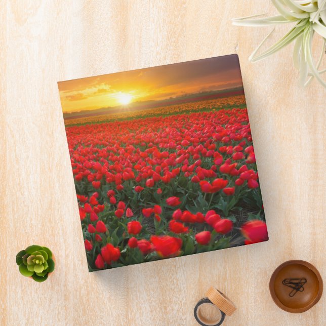 Flowers | Botanical Garden Holland 3 Ring Binder (In Situ)