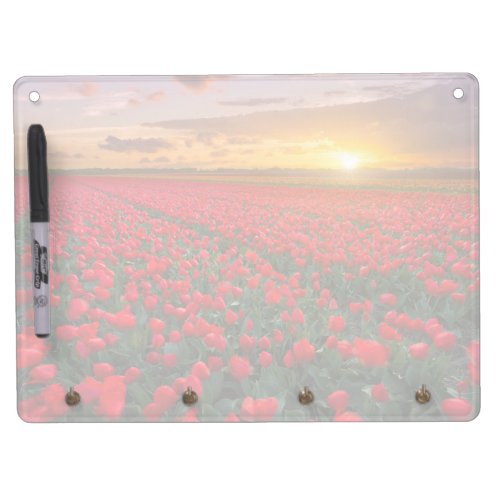 Flowers  Botanical Garden Holland Dry Erase Board With Keychain Holder