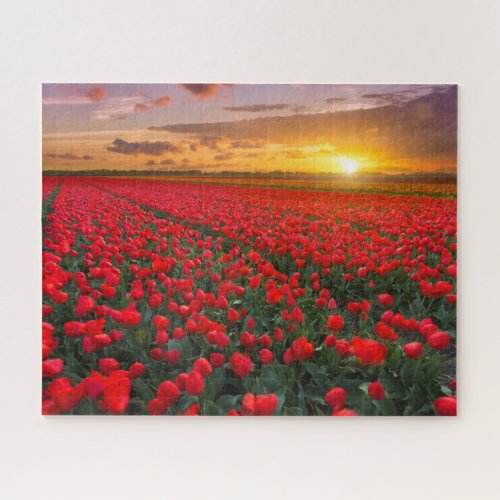 Flowers  Botanical Garden Holland Jigsaw Puzzle