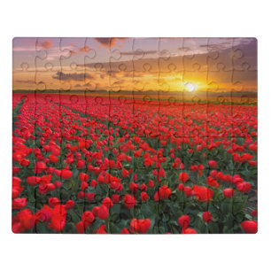 Flowers   Botanical Garden Holland Jigsaw Puzzle