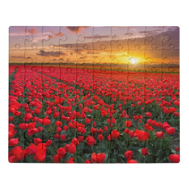 Flowers | Botanical Garden Holland Jigsaw Puzzle (Puzzle Horizontal)