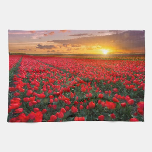 Flowers  Botanical Garden Holland Kitchen Towel