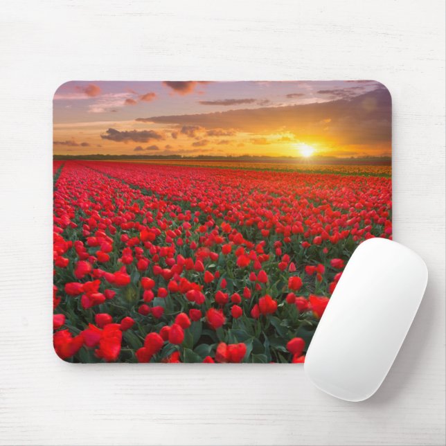 Flowers | Botanical Garden Holland Mouse Pad (With Mouse)