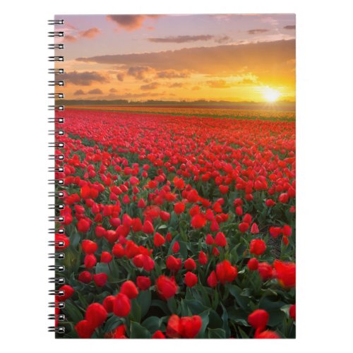 Flowers  Botanical Garden Holland Notebook
