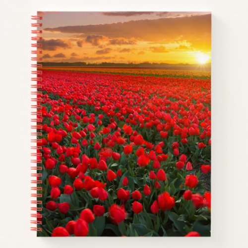 Flowers  Botanical Garden Holland Notebook