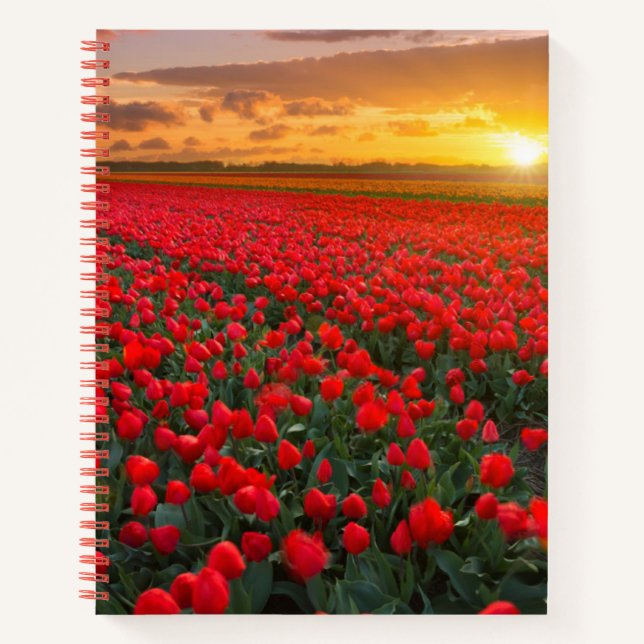 Flowers | Botanical Garden Holland Notebook (Front)