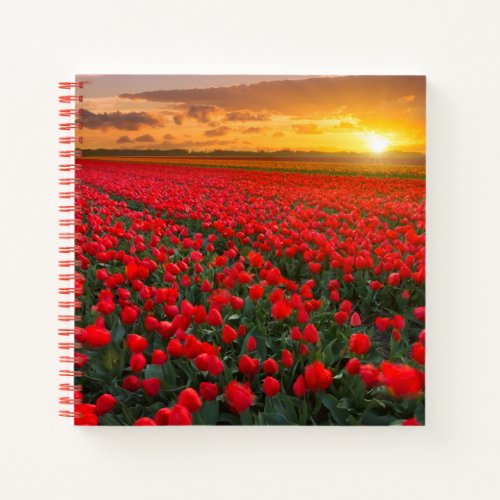 Flowers  Botanical Garden Holland Notebook