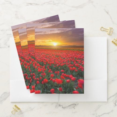 Flowers  Botanical Garden Holland Pocket Folder