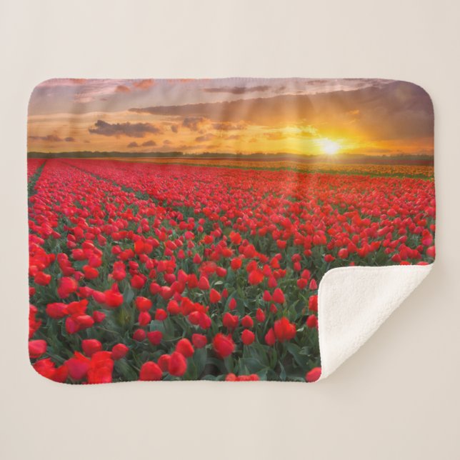Flowers | Botanical Garden Holland Sherpa Blanket (Front (Horizontal))