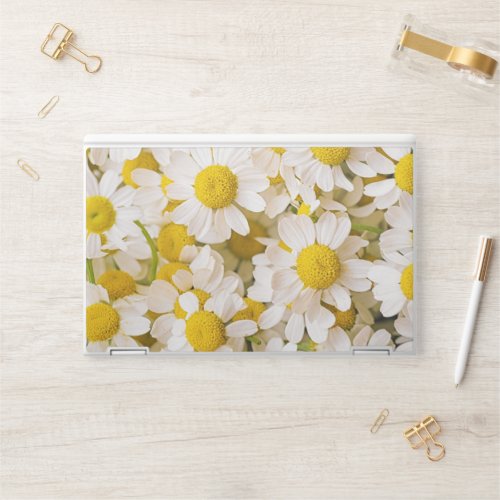 Flowers  Bunch of Chamomiles HP Laptop Skin