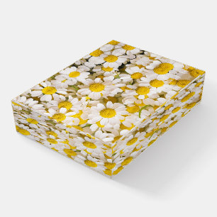 Flowers   Bunch of Chamomiles Paperweight