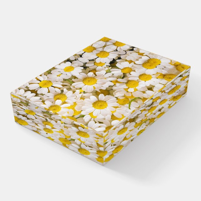 Flowers | Bunch of Chamomiles Paperweight (Angled)