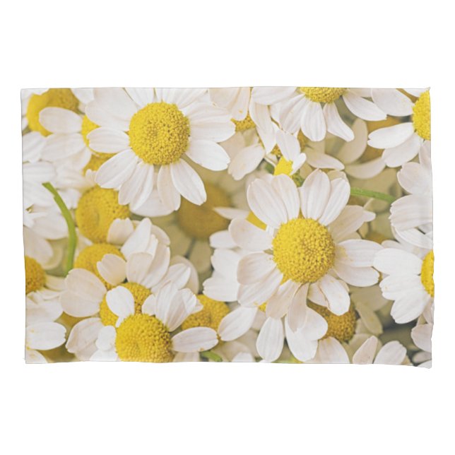 Flowers | Bunch of Chamomiles Pillow Case (Front)