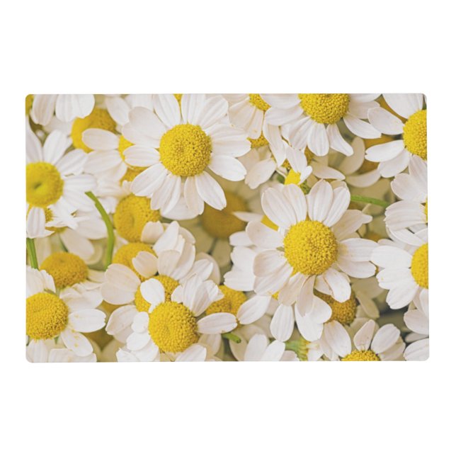 Flowers | Bunch of Chamomiles Placemat (Front)