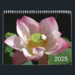 Flowers Calendar 2025<br><div class="desc">Beautiful water lilies and lotus flowers for your new 2025 Calendar.  Makes a great gift!  Match with greeting cards and other products from Moving Light Gallery.</div>