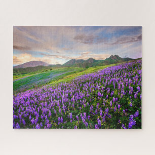 Flowers California Wildflowers Jigsaw Puzzle