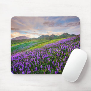 Flowers California Wildflowers Mouse Pad