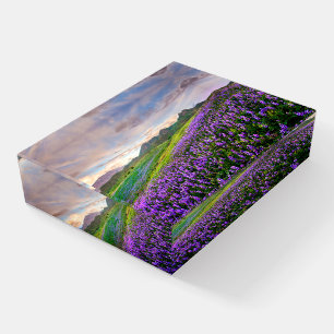 Flowers California Wildflowers Paperweight