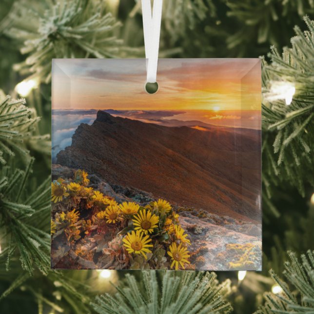 Flowers | Canary Islands, Spain Glass Ornament (Insitu)